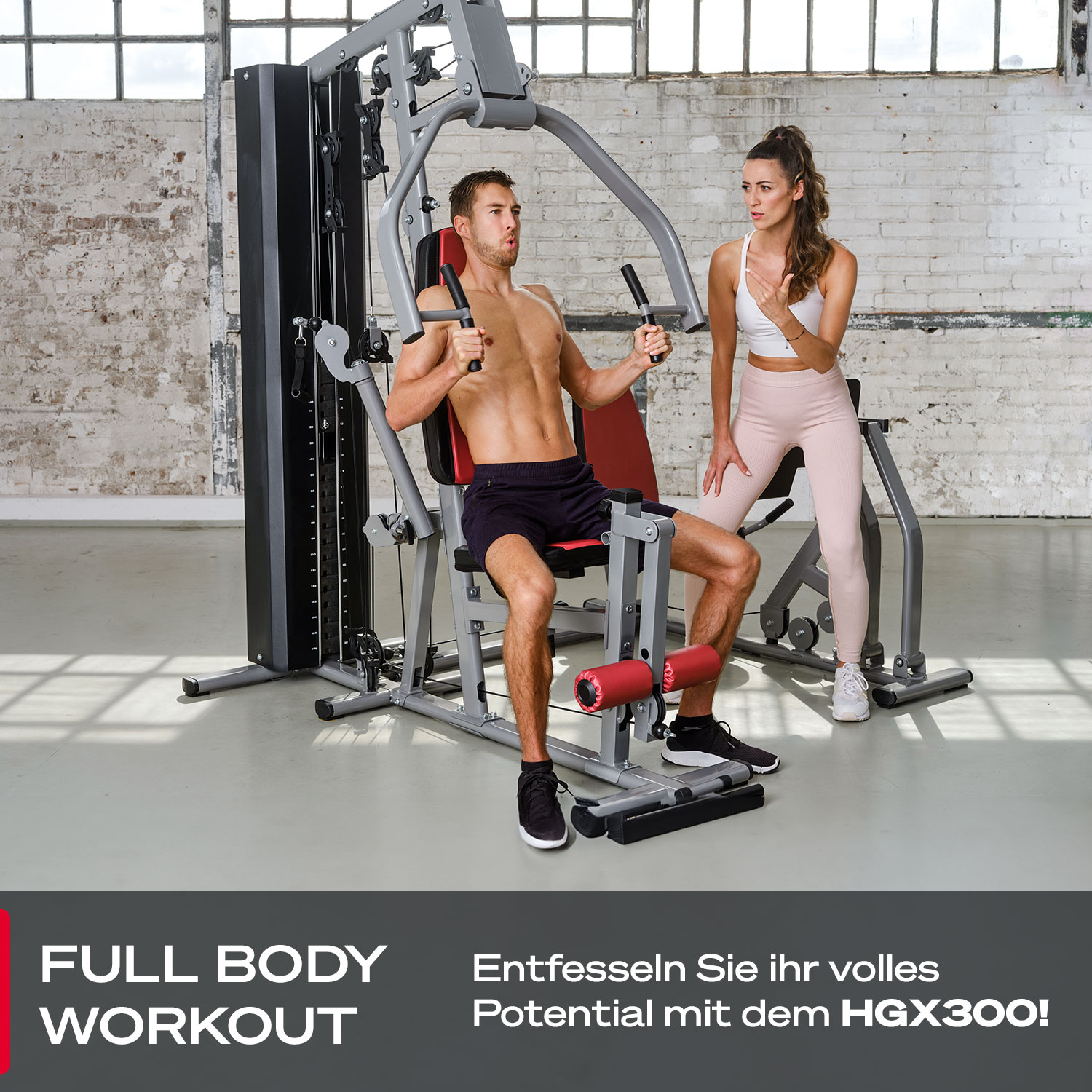 HGX300 Kraftstation